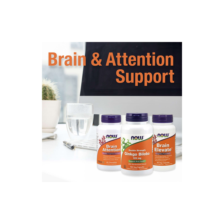 NOW Foods, Гинкго билоба двойного действия, 120 мг, 100 растительных капсул