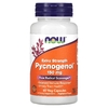 NOW Foods, Пикногенол с повышенной силой действия, 150 мг, 60 растительных капсул