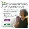 NOW Foods, Solutions, диффузор из керамического камня, 1 диффузор