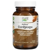 Pure Essence, MyPure, кордицепс, 500 мг, 60 растительных капсул