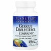 Planetary Herbals, Холестериновые соединения гуггула, 375 мг, 90 таблеток
