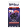 Sambucol, Kids, черная бузина, улучшенная формула сиропа для укрепления иммунитета, для детей от 2 лет, 8360 мг, 230 мл (7,8 жидк. унции)