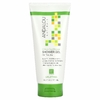 Andalou Naturals, Гель для душа, бодрящий, с цитрусовыми и подсолнухами, 251 мл (8,5 жидк. унц.) (Товар снят с продажи) 