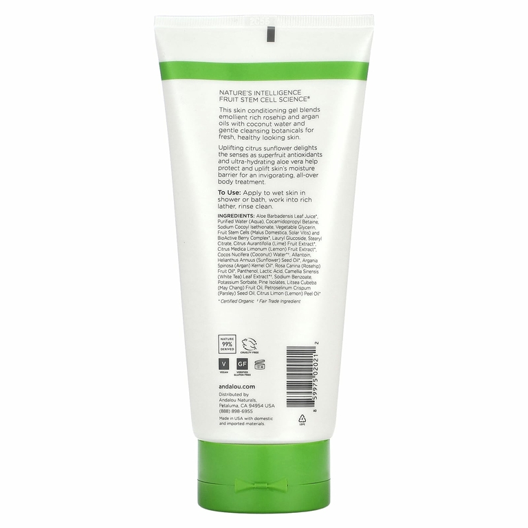 Andalou Naturals, Гель для душа, бодрящий, с цитрусовыми и подсолнухами, 251 мл (8,5 жидк. унц.) (Товар снят с продажи) 