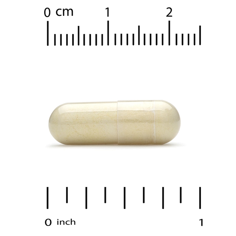California Gold Nutrition, новозеландские зелёные мидии с экстрактом имбиря, 500 мг, 240 растительных капсул