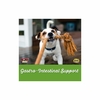 NOW Foods, Pets, поддержка желудочно-кишечного тракта, для собак и кошек, 90 жевательных таблеток, 30,6 г (1,08 унции)
