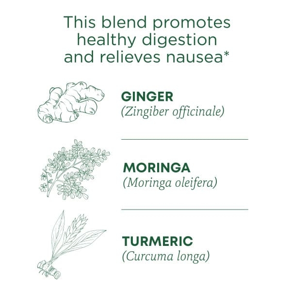 Traditional Medicinals, Ginger Aid, органический, (имбирь), без кофеина, 16 чайных пакетиков, 32 г (1,13 унции)