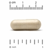 California Gold Nutrition, TheanineUP™, L-теанин, кофеин, какао и матча, 60 растительных капсул