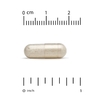 Lake Avenue Nutrition, Серрапептаза, протеолитический фермент, 120 000 SPU, 180 растительных капсул