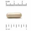 Lake Avenue Nutrition, экстракт расторопши, 175 мг, 240 растительных капсул